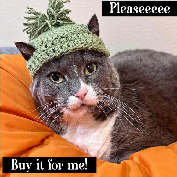 Cozy Cable Knit Turtleneck Pet Sweater Jacket for Small Dogs & Cats Hot Pink - Picture 6 of 8